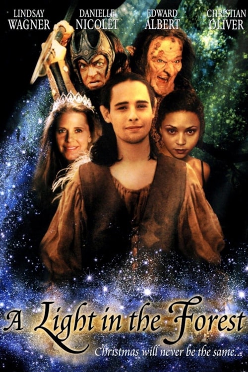 A Light in the Forest poster